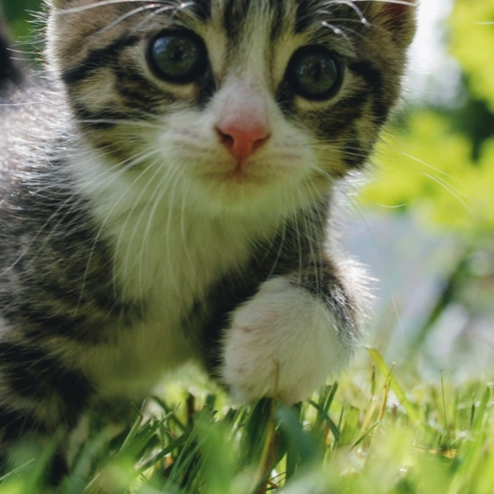 2020 has been hard on all of us...